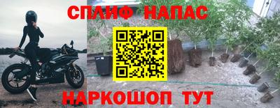 крисы Старая Купавна
