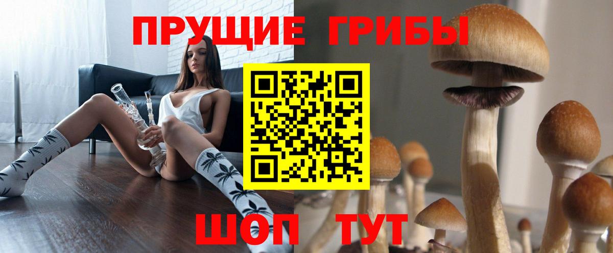 Малгобек  Псилоцибиновые грибы ЛСД  Галлюциногенные грибы Magic Shrooms  Вход с VPN 
